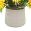 Arrangement de tournesol dans un pot en fibre de pierre-773778455