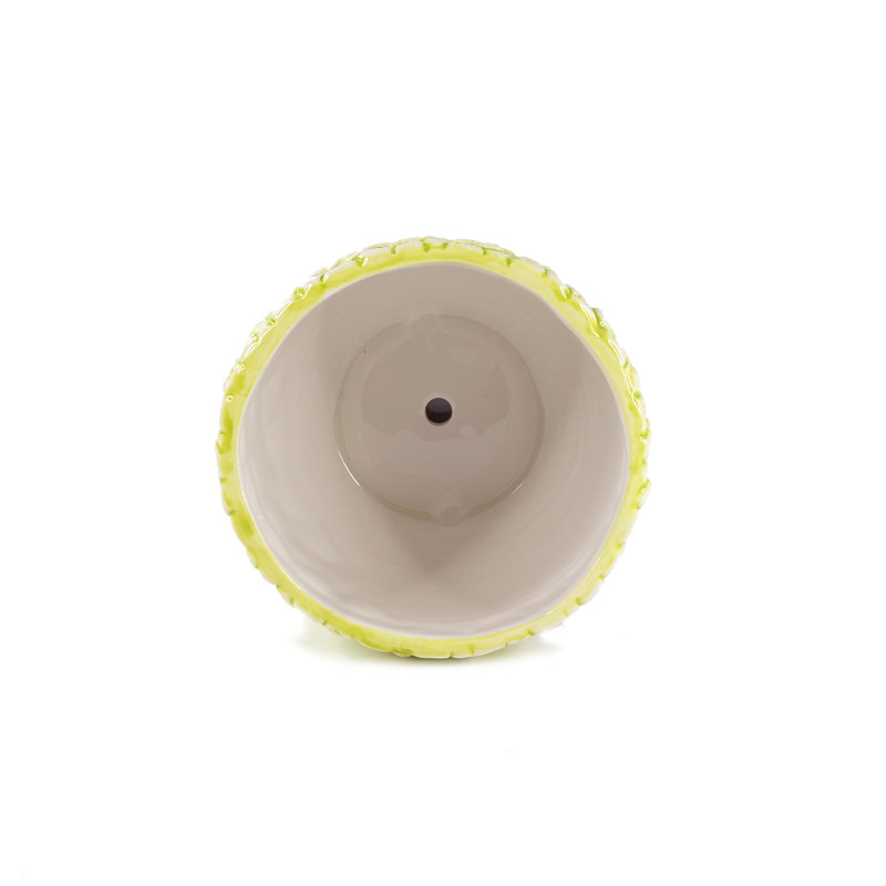 Ceramic Pot Planter