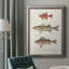 " Species Of Antique Fish II "-834072929