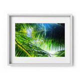 Light Breeze Print by Joseph Regan