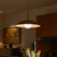 Huxley 19-In Pendant-60217779