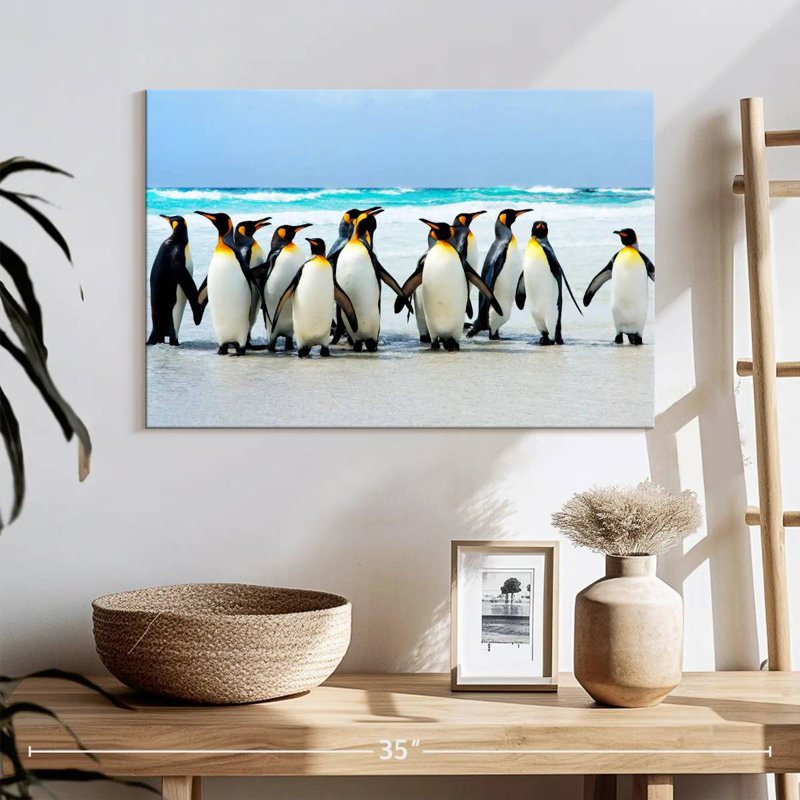 Crowle Penguins aux îles Falkland, H 16 po x l 24 po