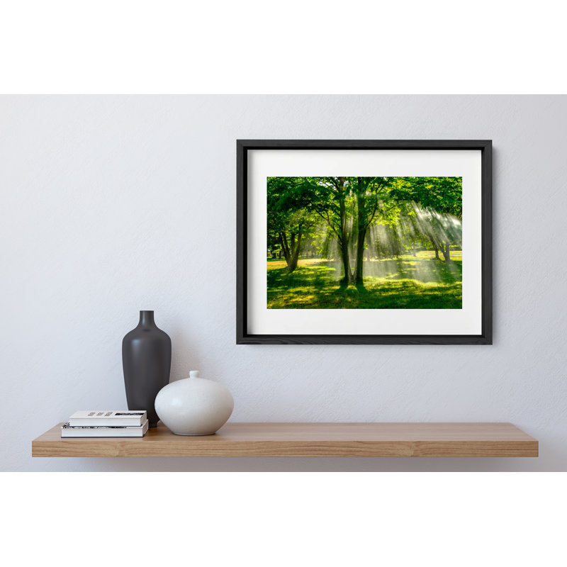 Summer Rain Print by Joseph Regan, 14" H x 16" W x 0.75" D, Black
