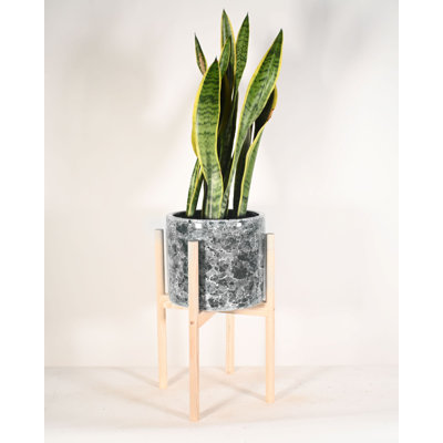 Hinrichs Handcrafted Ceramic Indoor Planter