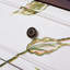 Creative painted engraved accent chest