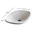 Wild 23.6'' L Bathroom Sink
