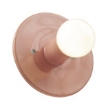 1 - Light Flush Mounted Sconce