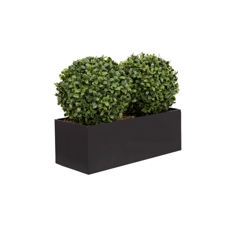 50.8cm Plant