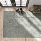 Caryville Handmade Wool Light Gray Rug