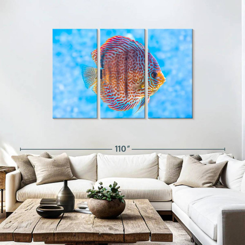 Brampt Freshwater Discus Fish, 48" H x 74" W