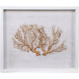 Sealife Print