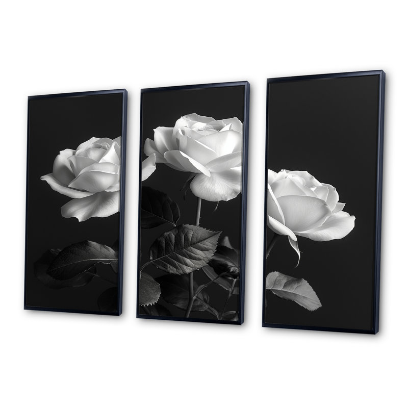 Ensemble de roses Monochromes Bloom III - Roses, H 28 po x l 36 po x P 1 po, Toile avec cadre flottant noir