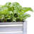 Weather Resistant Plant Stand
