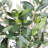 Artificial Olive Tree with Pot