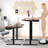 Mailany Adjustable Metal Base Standing Desk