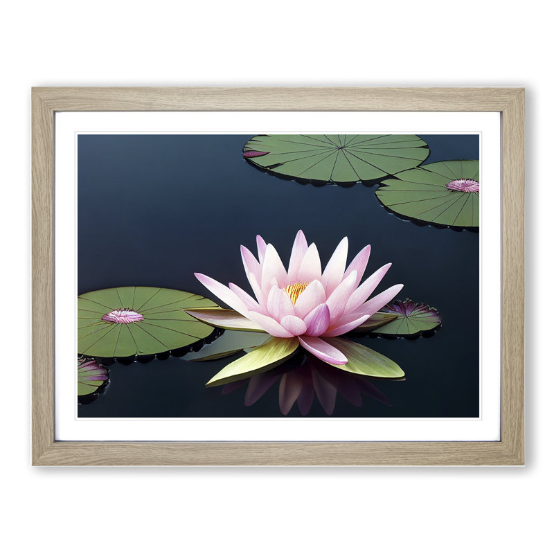 A Luscious Water Lily Flower - Single Picture Frame Print, Oak Framed, 46cm H x 64cm W x 2cm D