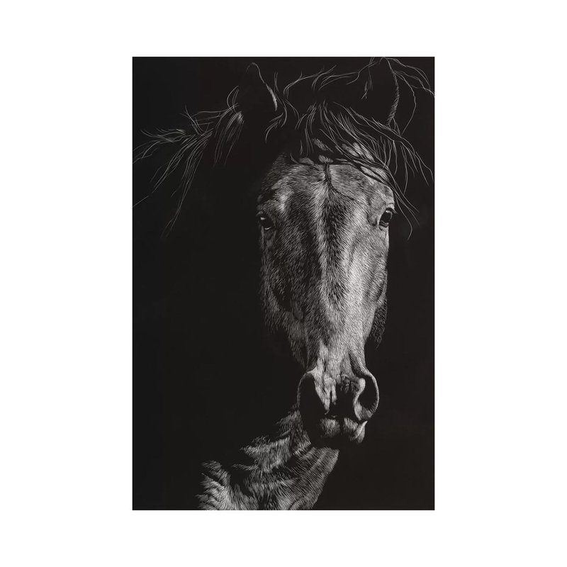Wild Scratchboard VI par Julie T. Chapman - Photographie sur toile tendue, H 26 po x l 18 po x 1,5 po