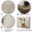«Cute Meercat Portrait III», reproduction sur toile-1650209711-1877453465