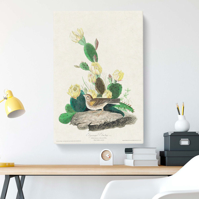Grass Finch Bird by John James Audubon - Wrapped Canvas, 50cm H x 35cm W x 3cm D