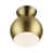 Antique Brass/Shiny White is unavailable