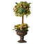 Topiaire en fleurs 16 "artichaut en urne