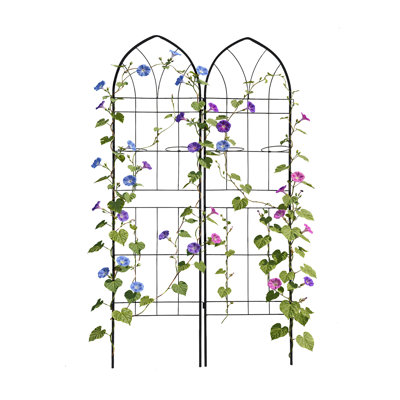 Ensemble de 2 treillis métalliques d'extérieur, treillis hauts autoportants pour plantes grimpantes, treillis de jardin pour tomates, roses et vignes