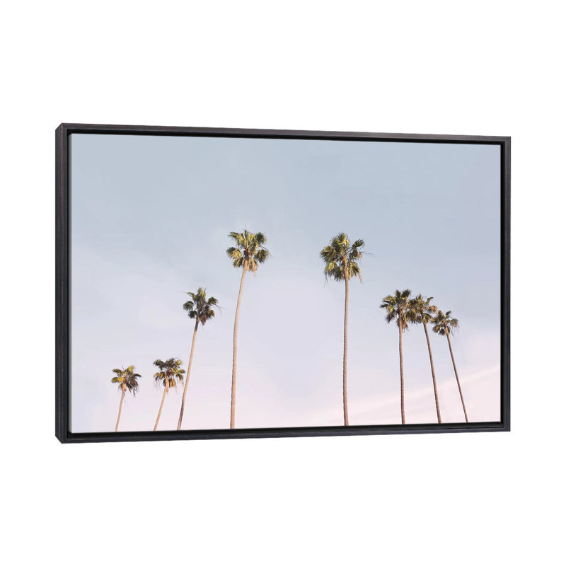 Photographie « california trees », H 18 po x l 26 po x P 1,5 po, Toile avec cadre noir patiné