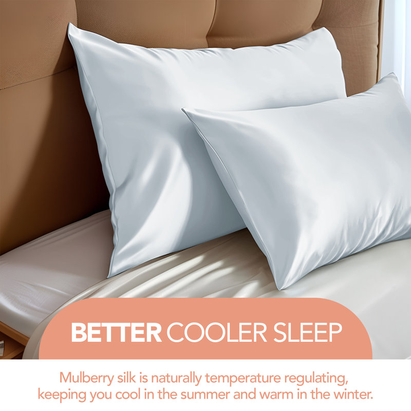 Deconovo 100% Pure Mulberry Silk Pillowcase for Hair and Skin, Super Soft Silk Pillowcase with 22 Momme 6A High-Grade Fibers, Envelope Closure, Set of 2