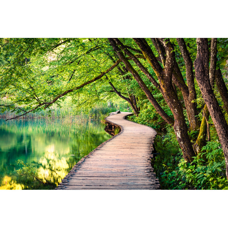 Lynse Plitvice National Park by Andrew_Mayovskyy - Wrapped Canvas Print, 51cm H x 76cm W x 3.8cm D