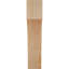Attelle de genou Westlake-29310041-31230161-31230611