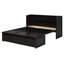 Lit escamotable double avec port USB et grand tiroir, espresso-2091539768-2091539766