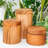 Wood Canister - Set of 2-71082301