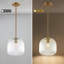 Luminaire suspendu simple 1 lumière-1911834552