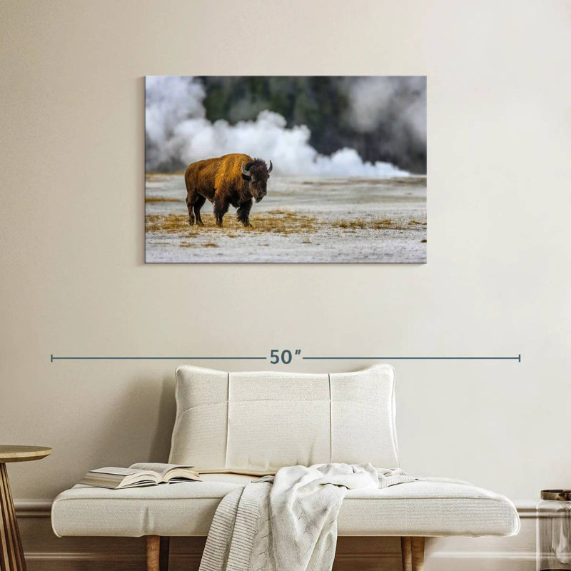 Brampt Yellowstone National Park Bison