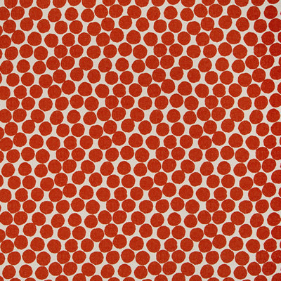 Tissu de couleur Festival Festival