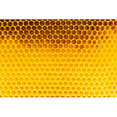 Lincolnshire Honeycomb - Wrapped Canvas Print