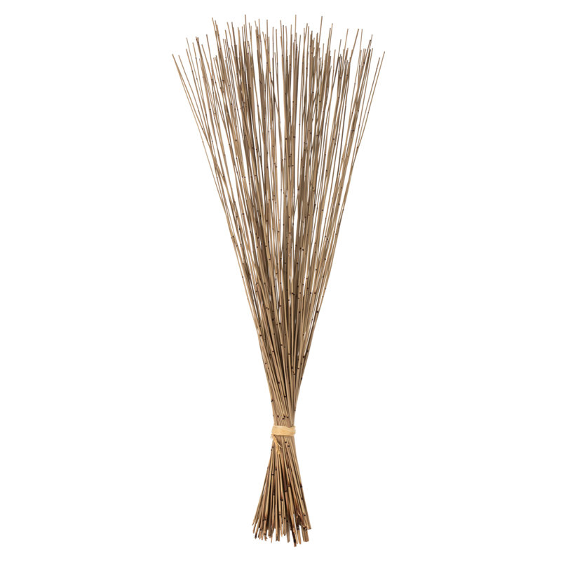 Faux Marsh Reed Plant Preserved