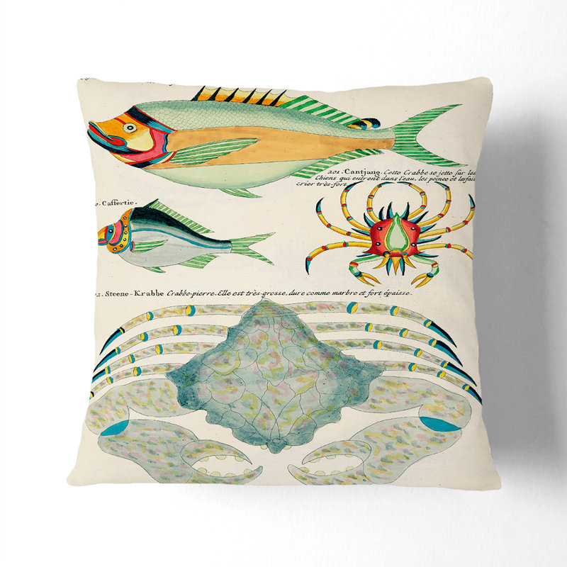 East Indies Fish & Crab Illustrations XLVIII Square Throw Cushion, 55cm H x 55cm W x 20cm D, White