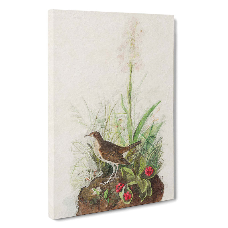 Tawny Thrush - Wrapped Canvas Painting, 60cm H x 40cm W x 3cm D