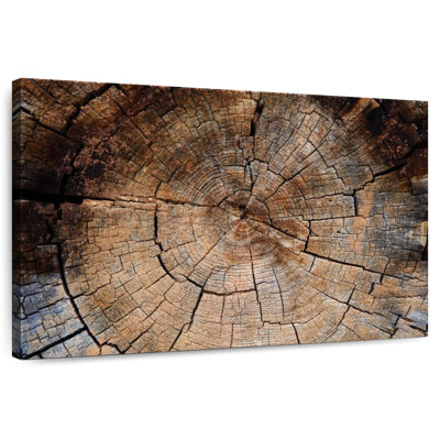 Harnek Burnt Tree Stump