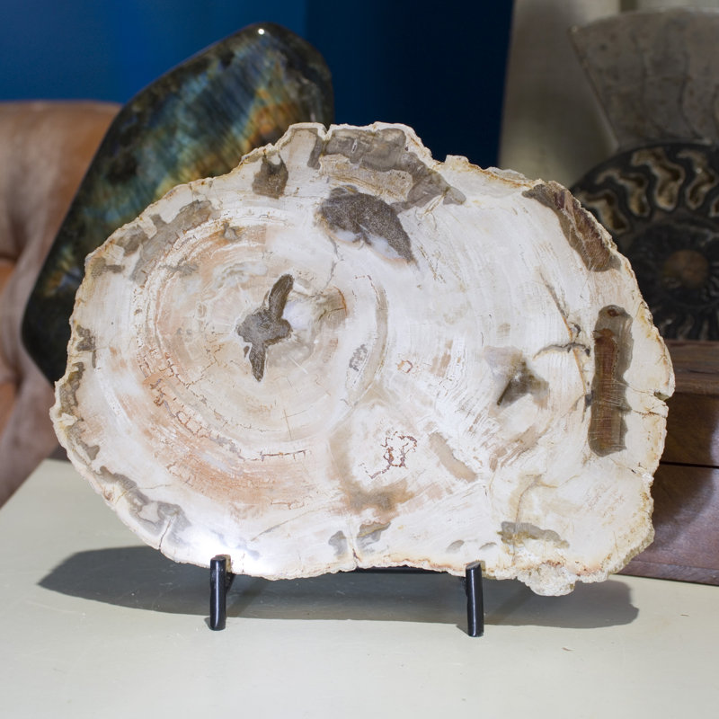 Aleshia Figurines & Sculptures