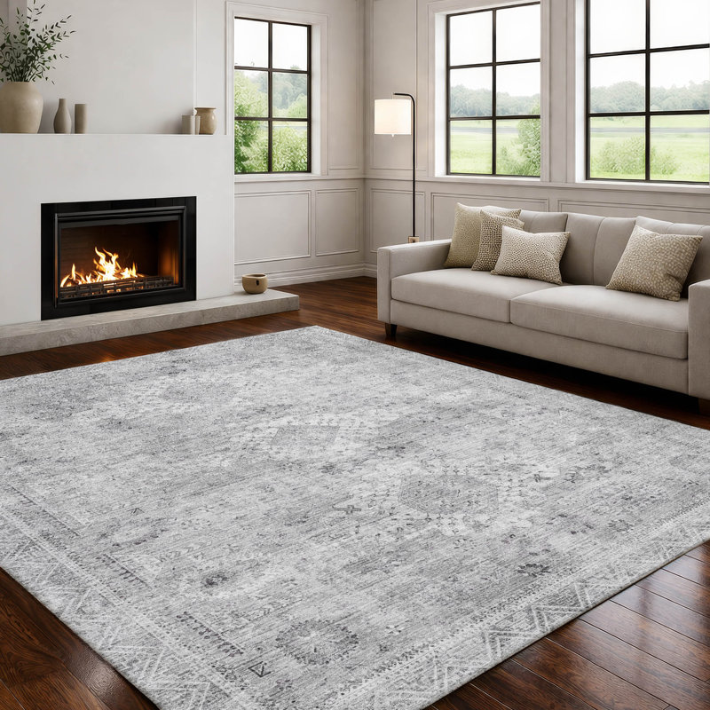 Machine Washable Indoor/Outdoor Chantille ACN2809 Global Rug, Silver, 3' x 5'