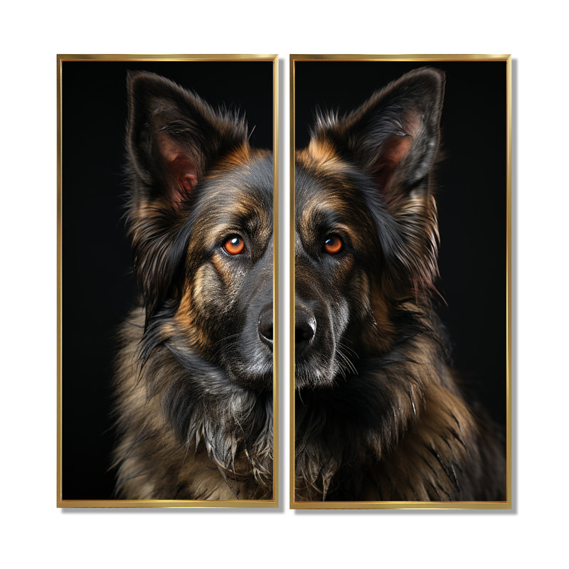 Chien, berger allemand, 40" H x 40" W, Impression encadrée flottante, Gold