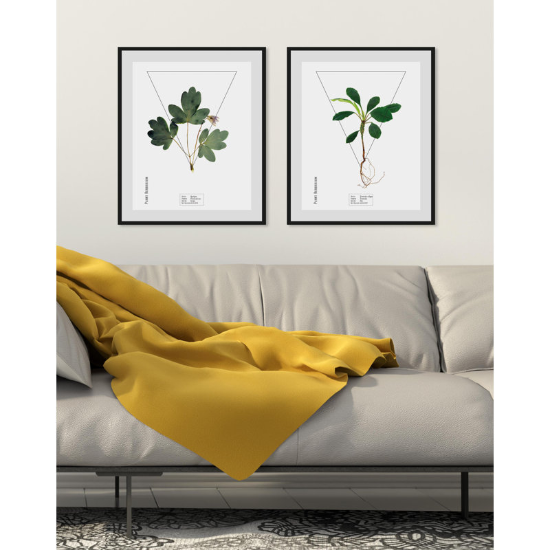 Plant - Single Picture Frame Print