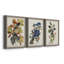 Pl 107 Canada Jay - ensemble de 3 peintures sur toile encadrées-768052229-768052226