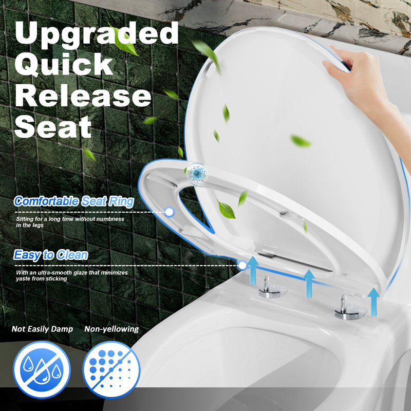 One-Piece Dual Flush Toilet, 12" Rough-in ADA Height 17", 1.1/1.6 GPF, Gloss White, Glossy White