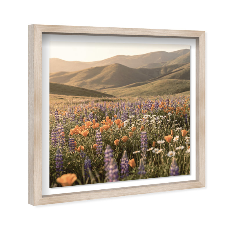 Lavender Hill Print by Oliver Gal, 41.5" H x 41.5" W, Natural Oak Shadowbox