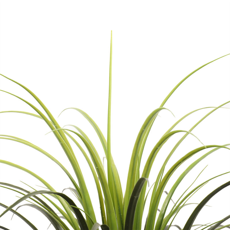 Faux Yucca Grass in Pot, 34" H x 22" W x 22" D