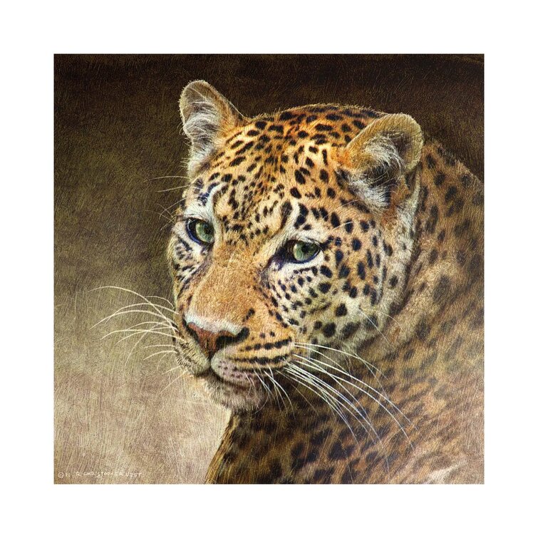 Leopard East Urban Home Size: 12 H x 12 W x 0.75 D