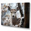 Winter Deer Monochrome Photography I - Animals Wall Art Prints-1026633092-1026633094